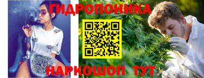 spice Брянск