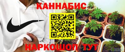 spice Брянск